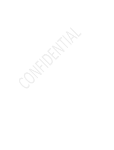 The overlay with the watermark that reads "confidential".